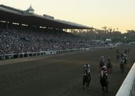 The Breeders' Cup is the richest horse race in North America